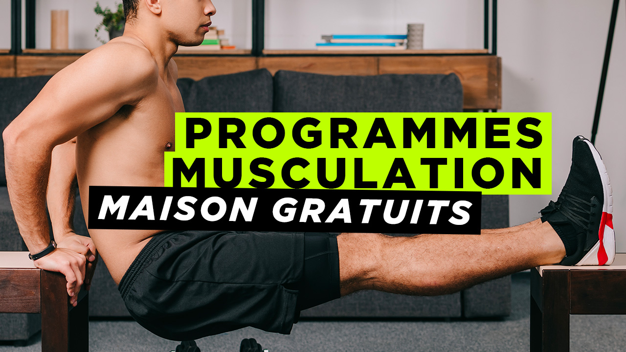 50 Programmes de Musculation Gratuit : PDM, Force, Débutant
